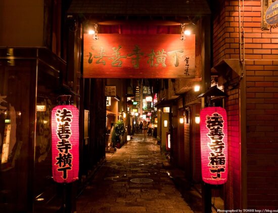 Hozenji Yokocho Alley