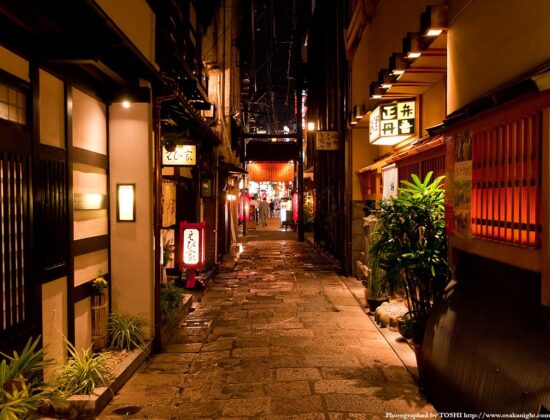 Hozenji Yokocho Alley