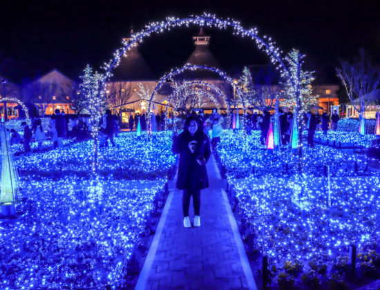 Nagoya Akari Night and Hisaya-Odori Garden Flarie