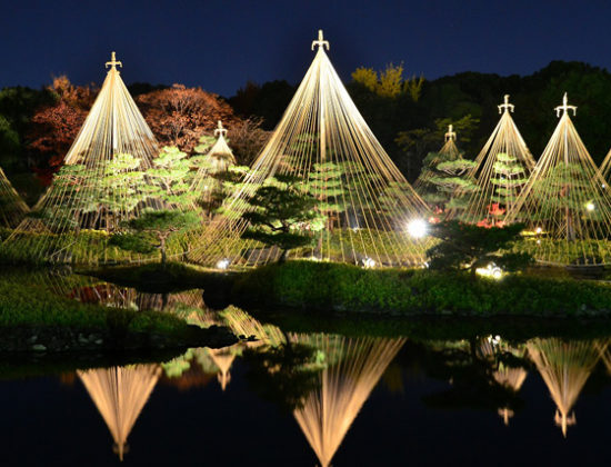 Shirotori Garden Illumination