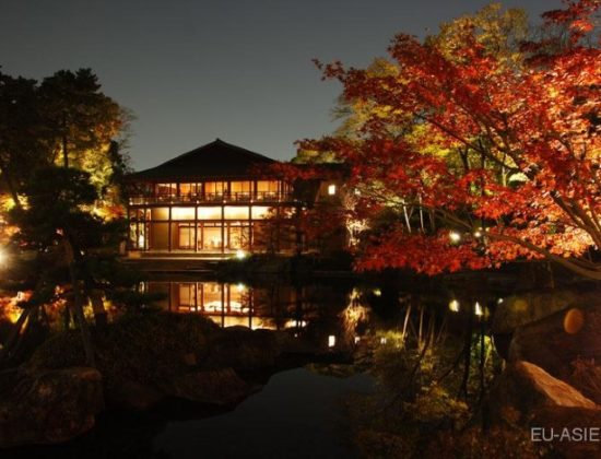 Tokugawa Garden Illuminations