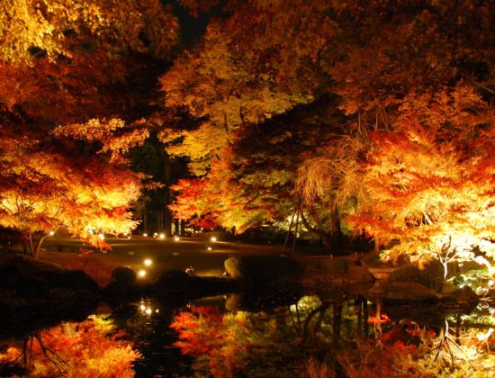 Tokugawa Garden Illuminations